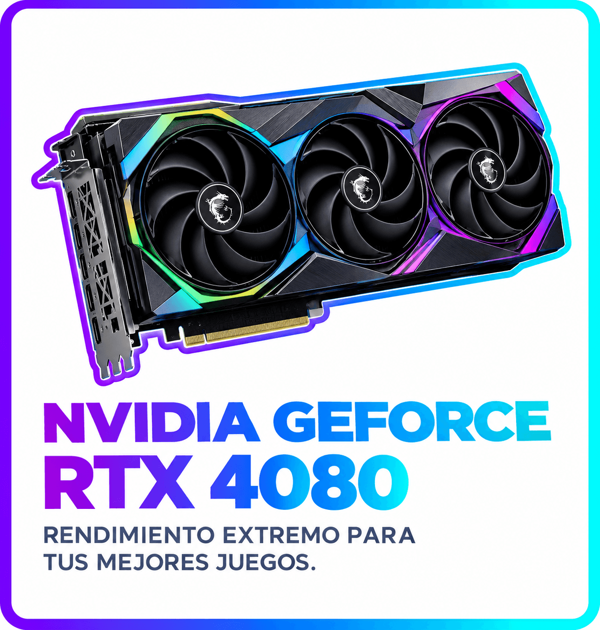 Notebooks y Laptops